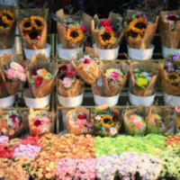 Spring Window Display Ideas to Bloom Your Sales